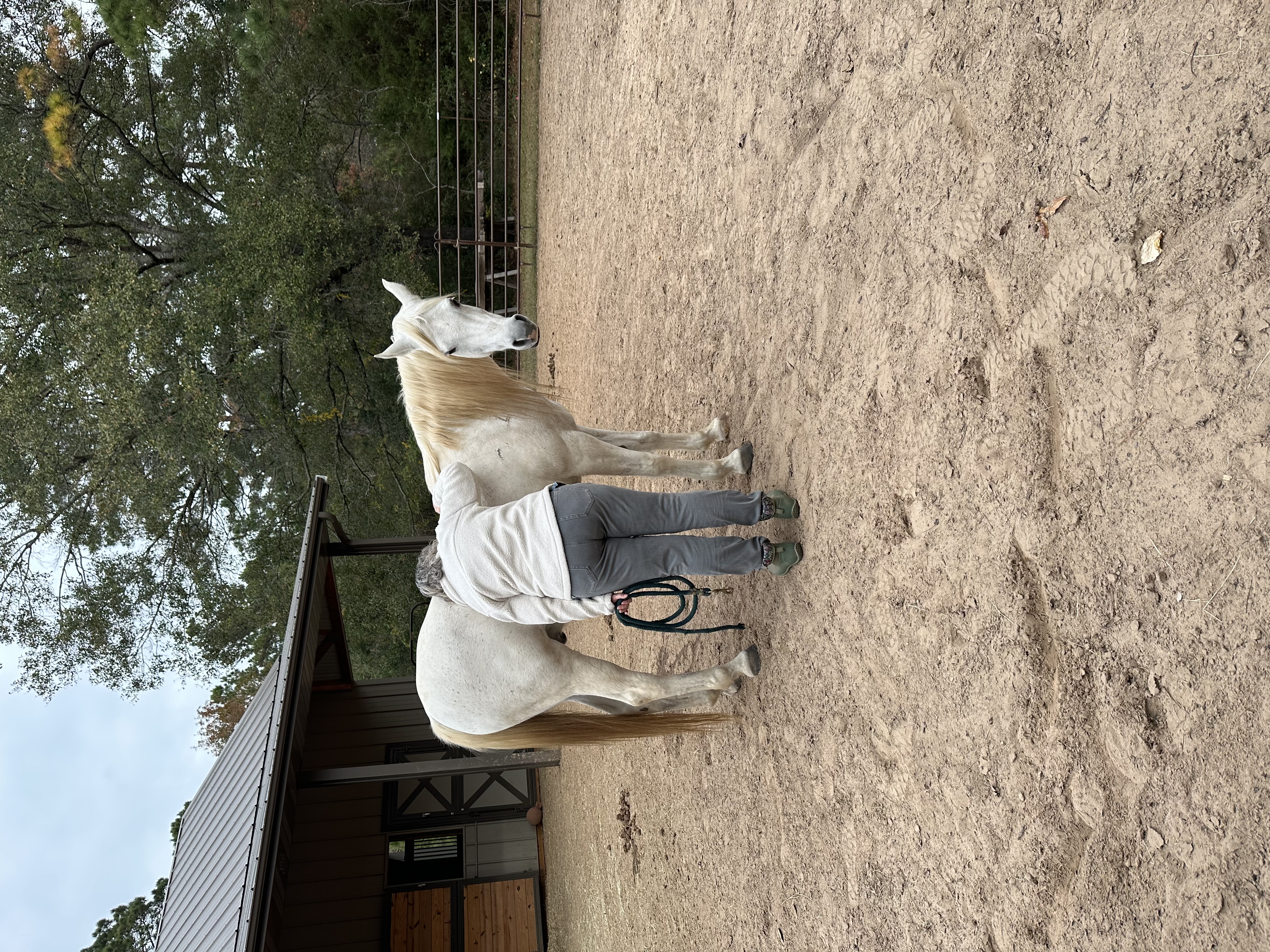 Lizette standing calmly with a horse in an arena