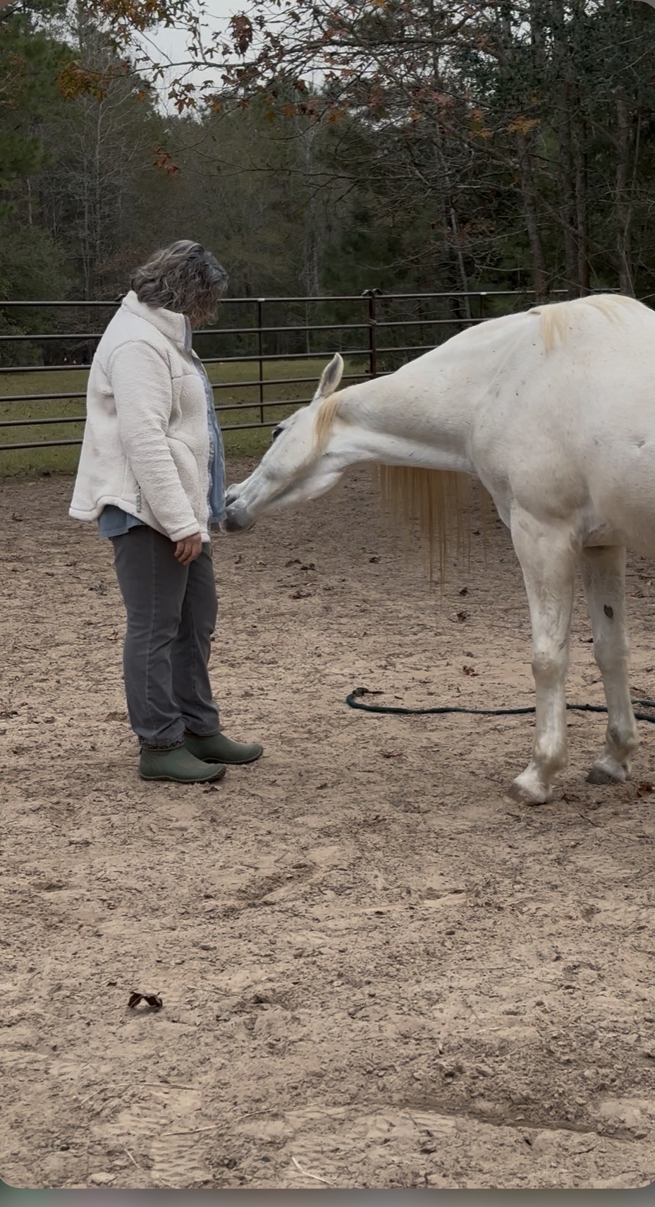 Wide arena view of the Whispers from Peace property
