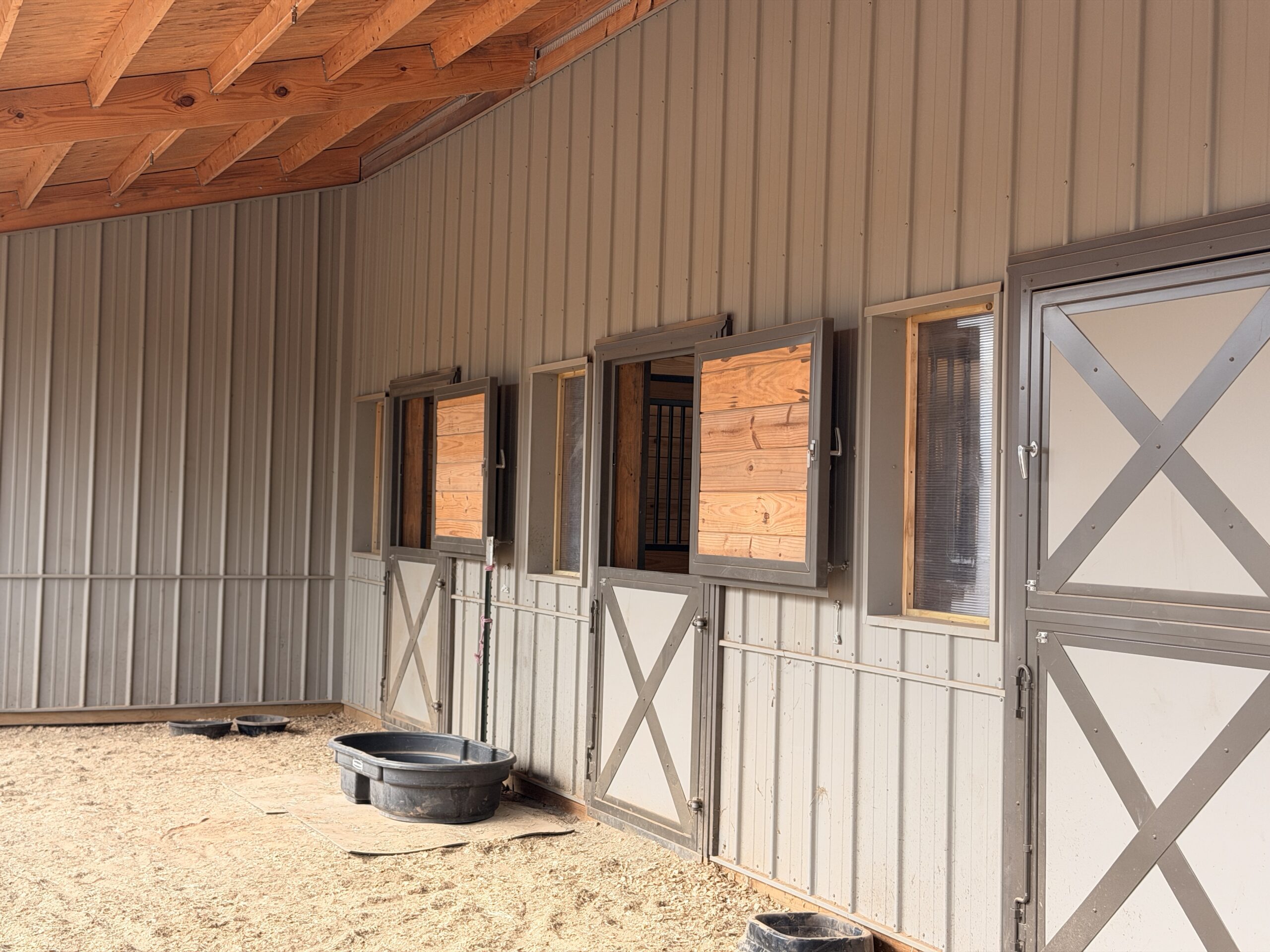 Group session with white horses among participants