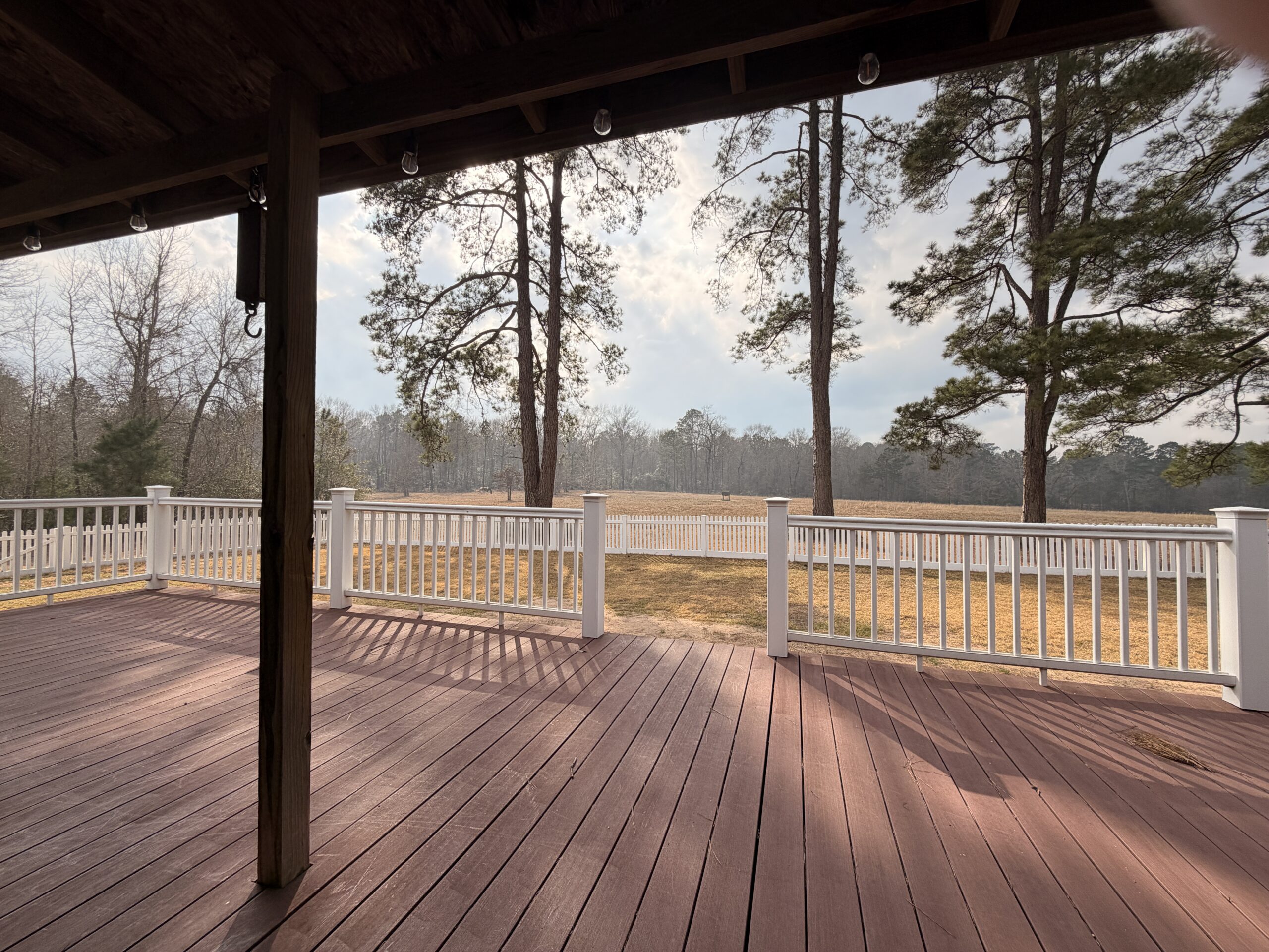 Covered porch overlooking pine trees and a paddock